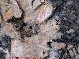 Pinturas rupestres de la Cerradura. 