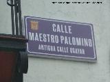 Calle Maestro Palomino