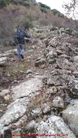 Trocha de Carboneros