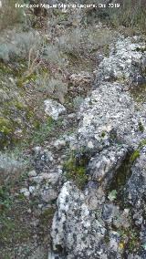 Trocha de Carboneros. Detalle del borde del camino