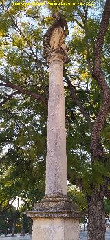 Alameda Vieja. Columna