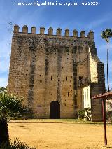 Alc�zar de Jerez. Torre del Homenaje. Intramuros