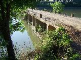 Puente romano de la Lagunilla. Aadido actual sobre el puente romano