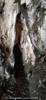 Cueva de la Cara. Interior