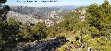 Loma de Cagasebo. Vistas hacia la Ca�ada de las Fuentes