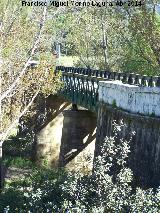 Puente de Hierro. 