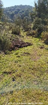 Ca�ada Real de Ja�n a Granada