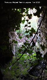 Caracol de la Veredilla. Puerta desde el interior