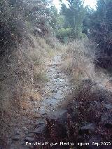 Camino del Molino de los Tontos. 