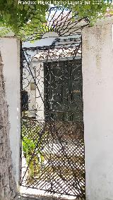 Casa de la Calle Alcalde n� 5. Puerta de hierro forjado