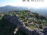 Castillo de Peaflor. Muros