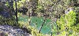 Pantaneta del Arroyo del Hombre I