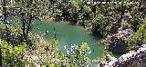 Pantaneta del Arroyo del Hombre I. 