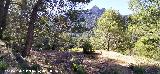 Era de la Huelga de los Olivos