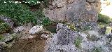 Arroyo de las Grajas