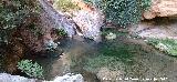 Arroyo de las Grajas