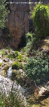 Arroyo de las Grajas. 