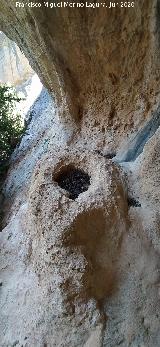 Abrigo de la Cazoleta. Cazoleta de gran tama�o