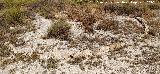 C�rculo del Cerro de la Mina. 