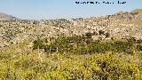 Loma de la Raja. 