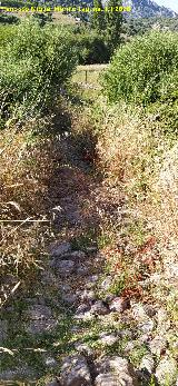 Calzada de Benaocaz a Ubrique. 