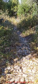 Calzada de Benaocaz a Ubrique. Empedrado