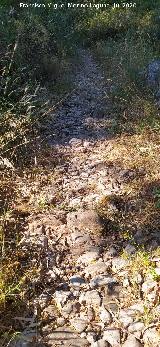 Calzada de Benaocaz a Ubrique. Empedrado