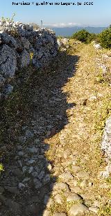 Calzada de Benaocaz a Ubrique. 