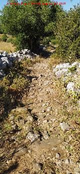 Calzada de Benaocaz a Ubrique. 