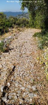 Calzada de Benaocaz a Ubrique. 