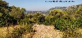 Calzada de Benaocaz a Ubrique. 