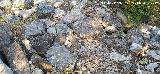Calzada de Benaocaz a Ubrique. Desag�e
