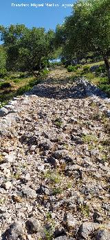 Calzada de Benaocaz a Ubrique. 