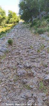 Calzada de Benaocaz a Ubrique. 