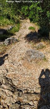 Calzada de Benaocaz a Ubrique. 