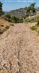 Calzada de Benaocaz a Ubrique. 