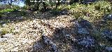 Calzada de Benaocaz a Ubrique. Desag�e