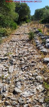 Calzada de Benaocaz a Ubrique. 