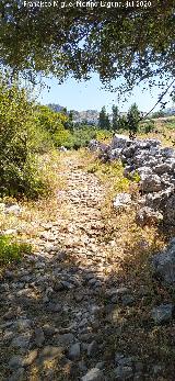 Calzada de Benaocaz a Ubrique. 