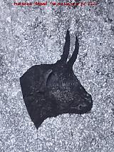 Grafiti de Cabeza de Toro. 
