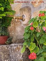 Fuente de Santa Clara. Grifo