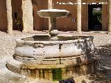 Castillo Palacio de los Ribera. Fuente del patio