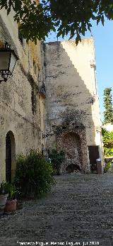Castillo Palacio de los Ribera. 