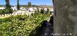 Castillo Palacio de los Ribera. 