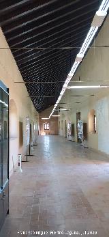 Castillo Palacio de los Ribera. Sala