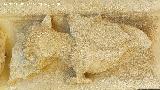 Castillo Palacio de los Ribera. Drag�n