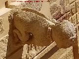 Castillo Palacio de los Ribera. G�rgola