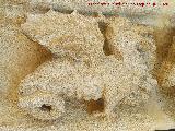 Castillo Palacio de los Ribera. Drag�n