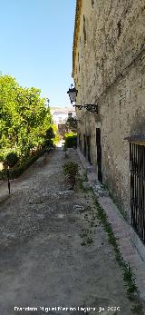 Castillo Palacio de los Ribera. Calle del Jard�n Alto