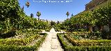 Castillo Palacio de los Ribera. Jard�n Alto